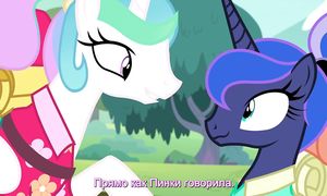 MLP 9x13