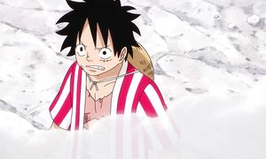 One Piece 896
