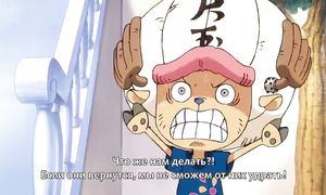 One Piece 895