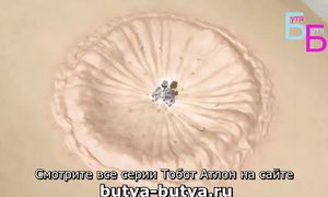 04. Тренировка профи