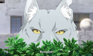 Hataage! Kemono Michi 1x05