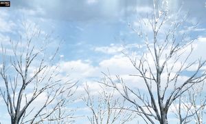 Vinland Saga 1x18