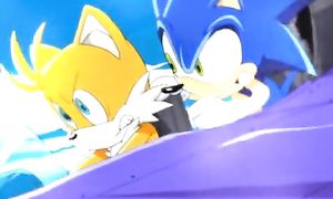 Sonic X 08