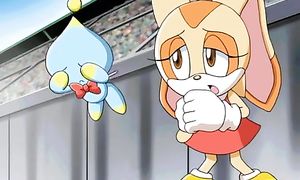 Sonic X 46