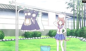 adultmult.club - Nekopara 1x01