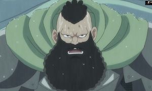 Radiant 2x18