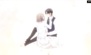 Fruits Basket 2x12