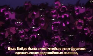 One Piece 941