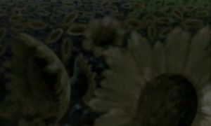 THE LAST AIRBENDER_S2E07_geo