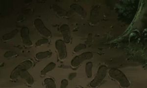 Naruto Shippuden_180_geo