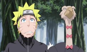 Naruto Shippuden_254_geo