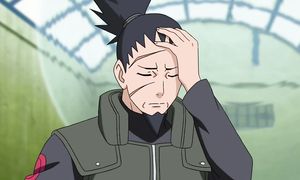 Naruto Shippuden_296_(13end)geo