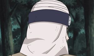 Naruto Shippuden_285_geo