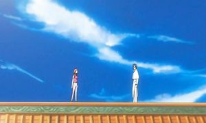 bleach 29