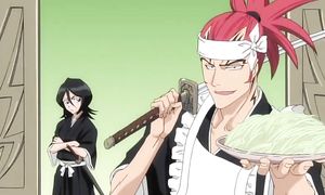 bleach 223