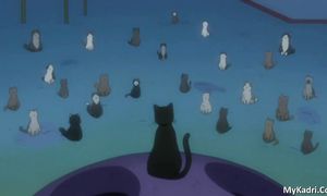bleach 284