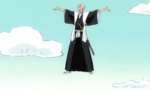 bleach 293