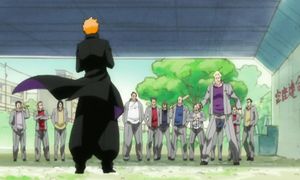bleach 295