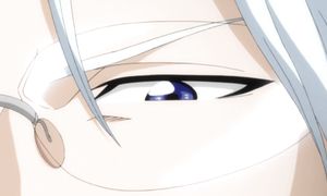 bleach 296