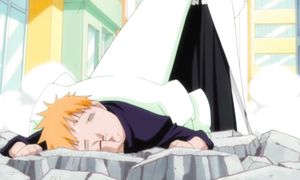 bleach 309
