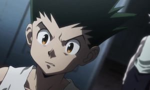 hunter x hunter 116