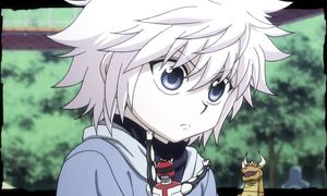 hunter x hunter 137
