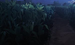 takt op.Destiny - 04 [DUB]