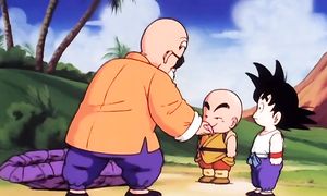 goku 16-s1