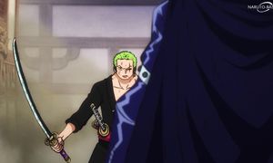 One Piece - 1002 [DUB]