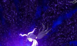 Total Fantasy Knockout - 10 [DUB]