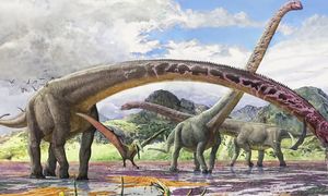 Гиганты среди Динозавров. Самые Крупные Доисторические Ящеры!