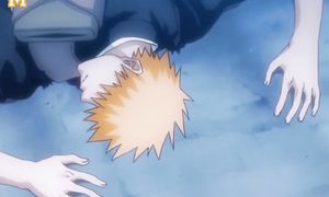 bleach 17