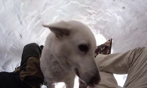 Дом за 1000$ 2 этажа 50 м² КРОВЛЯ своими руками из ПЕНОПЛАСТА!