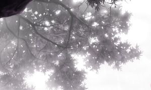 Mushishi EP26