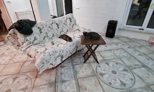 НОВЫЙ ДОМ!! ЧАСТЬ 48!! СТЕЛАЖИ В СХРОНЕ И ЕЩЁ О ЛАНДШАФТЕ !!