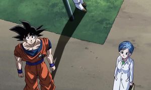 dragon ball super 60 qartulad