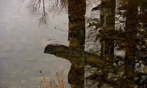 Монстры из Глубин. Каких существ скрывают озёра