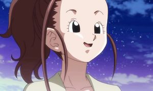 dragon ball super 74 qartulad