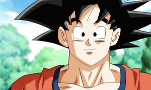 dragon ball super 78 qartulad