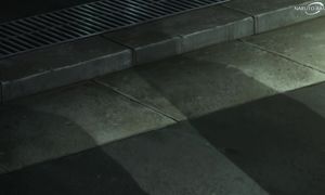 Lycoris Recoil - 07 [DUB]