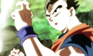 Dragon Ball Super 120