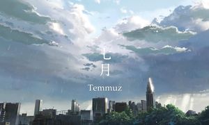 [AoiSubs] Kotonoha no Niwa (1080p)