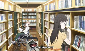 [AoiSubs] Josee to Tora to Sakana-tachi [BDRip 1920x804 x264]