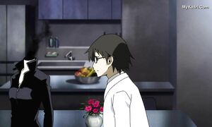 durarara seria 14