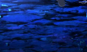Danmachi S4 - 12 [DUB]