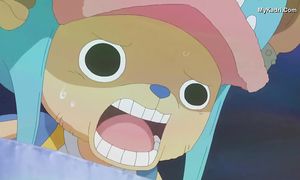 ONE_PIECE_526_Geo