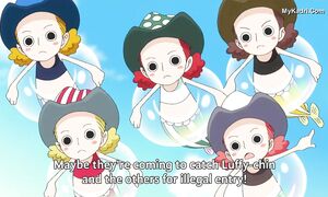 ONE_PIECE_528_Geo