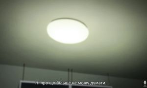 [subs] Hyouka 11 [Melodicvoicestudio]