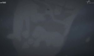 Black Butler - 11