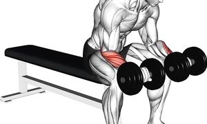 СДЕЛАЙ БОЛЬШИЕ РУКИ ЗА 30 ДНЕЙ В ДОМАШНИХ УСЛОВИЯХ